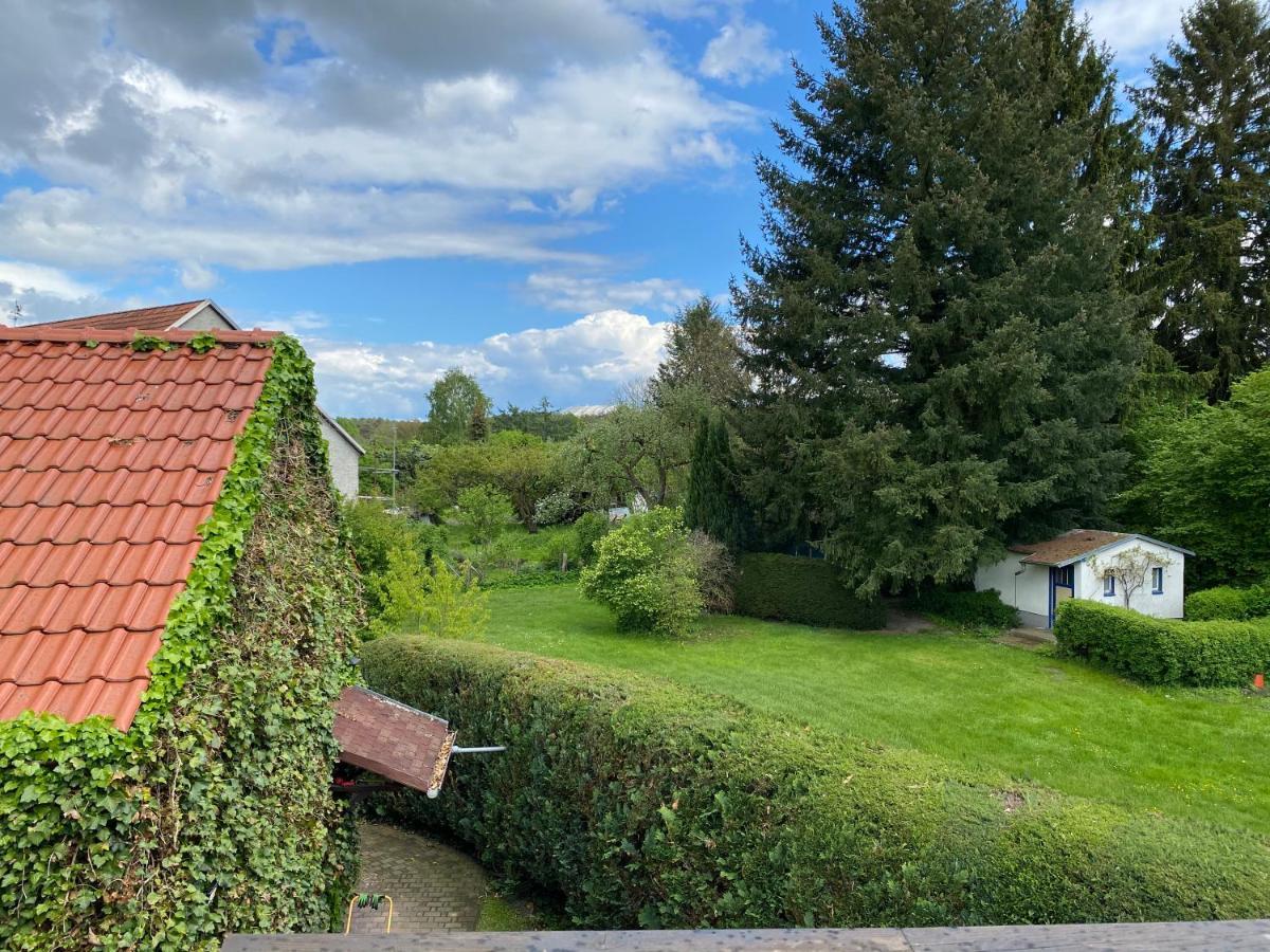 Ferienwohnung Zum Schloss 哈尔伯 外观 照片